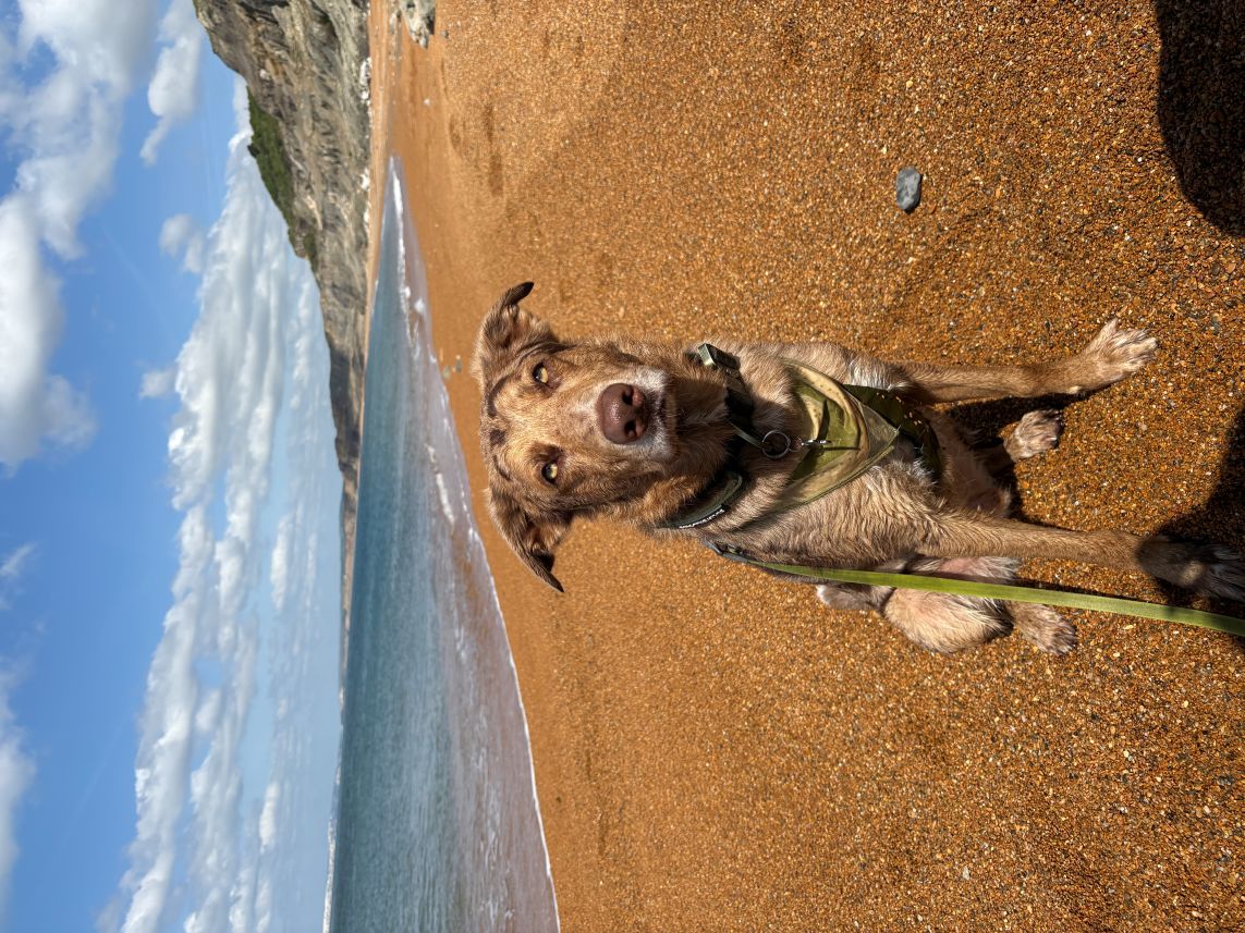 Rock End Beach