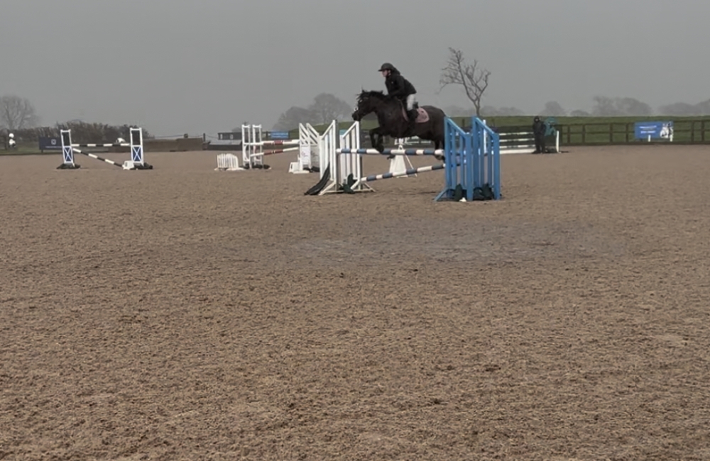 Rubi jumping in a show