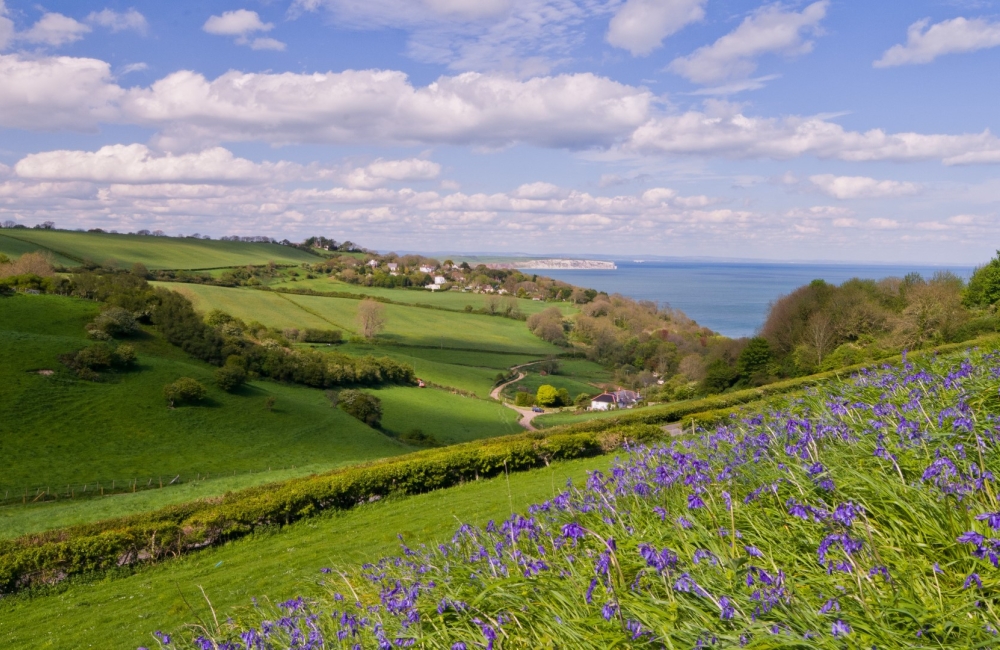 rolling green hills with bluebells in foreground