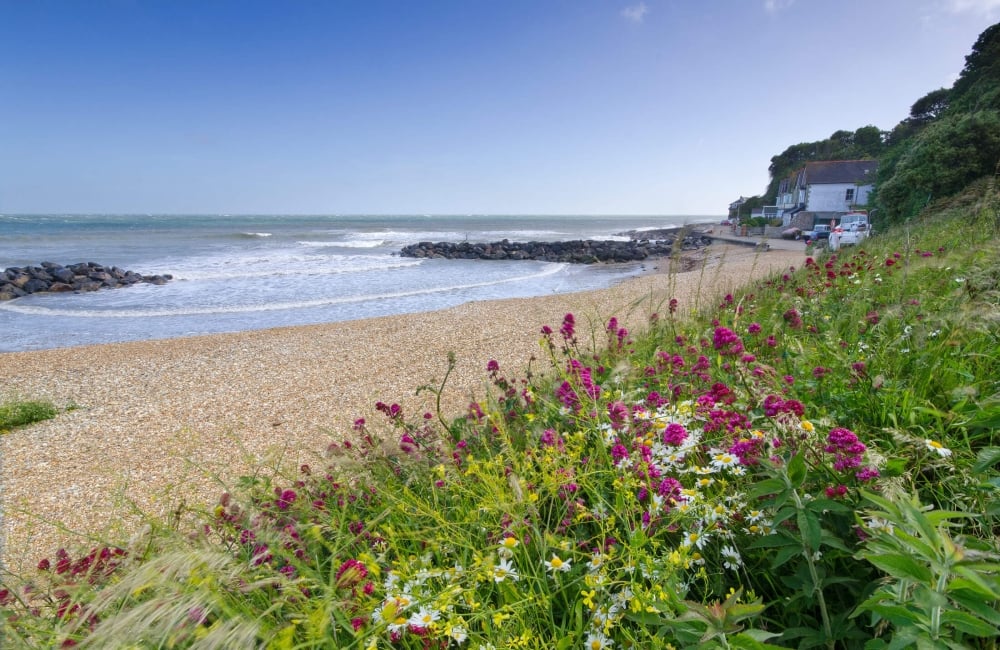 Bonchurch Beach