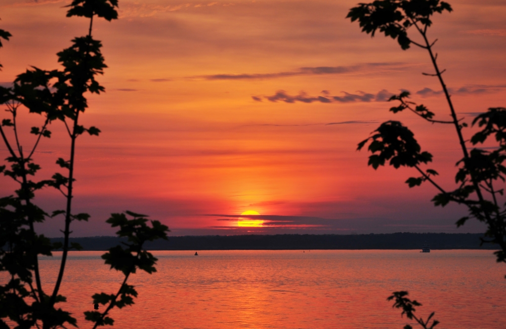 a red orange sunset over yarmouth with silhoutte of foliage in the foreground