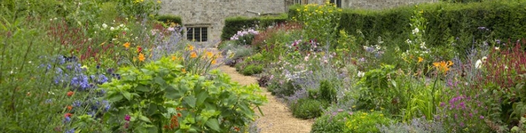 A path through the garden leading to Mottistone Manor Farmhouse
