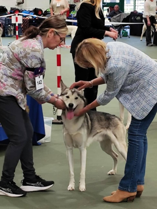 Julie Platt with Husky