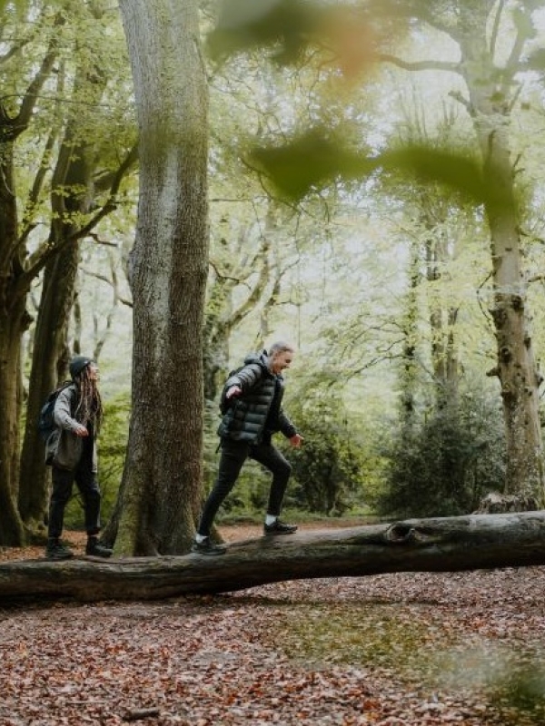 forest walk - resize