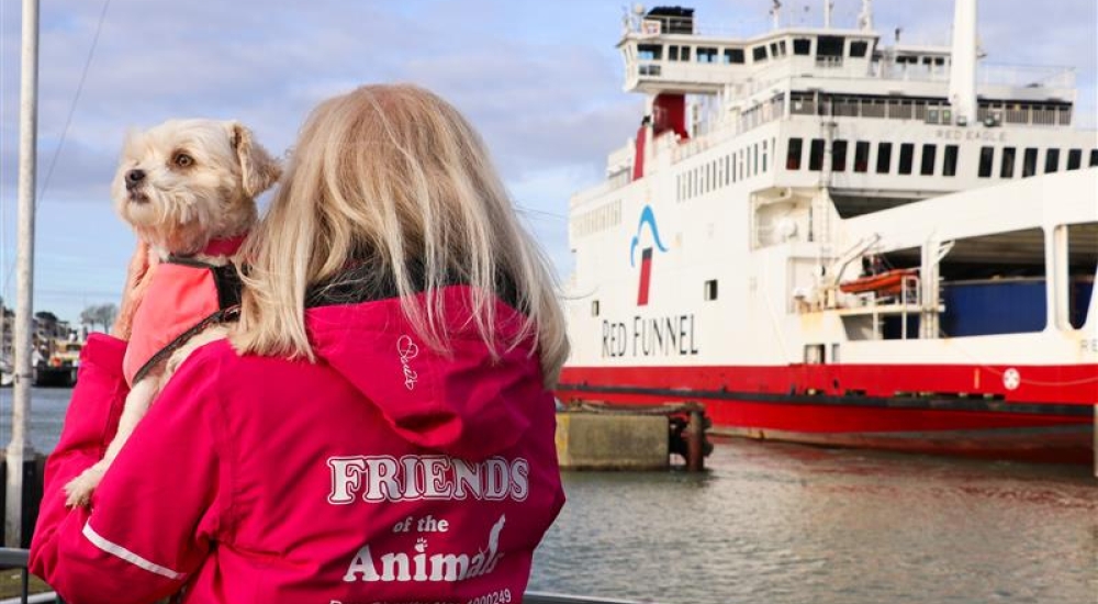 cute dog with ferry in the background